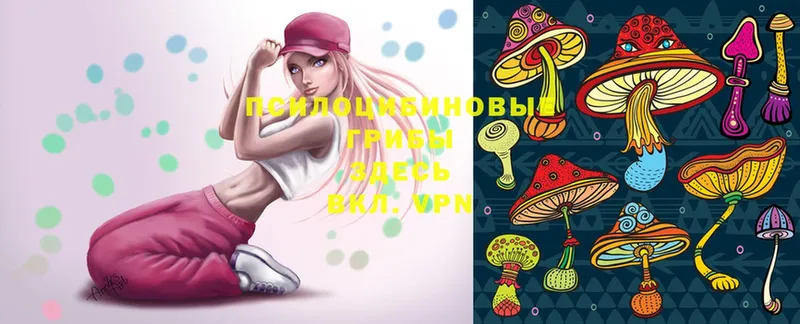 Галлюциногенные грибы Magic Shrooms  закладка  Дальнегорск 